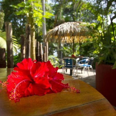 Villas Del Caribe Puerto Viejo de Talamanca ภายนอก รูปภาพ