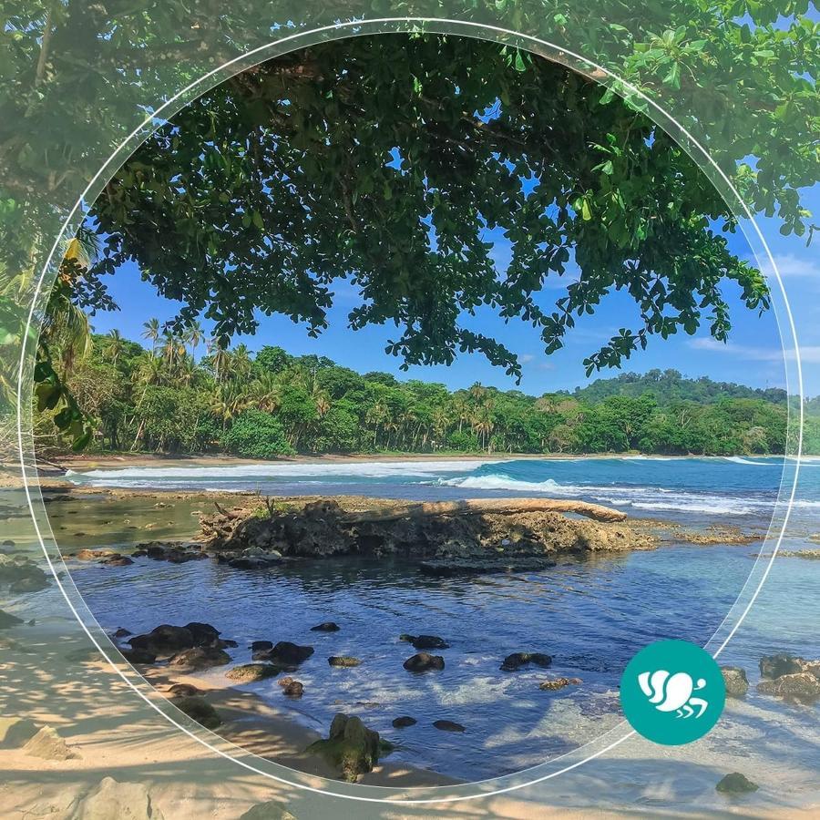 Villas Del Caribe Puerto Viejo de Talamanca ภายนอก รูปภาพ