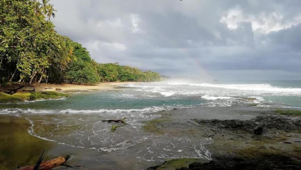 Villas Del Caribe Puerto Viejo de Talamanca ภายนอก รูปภาพ