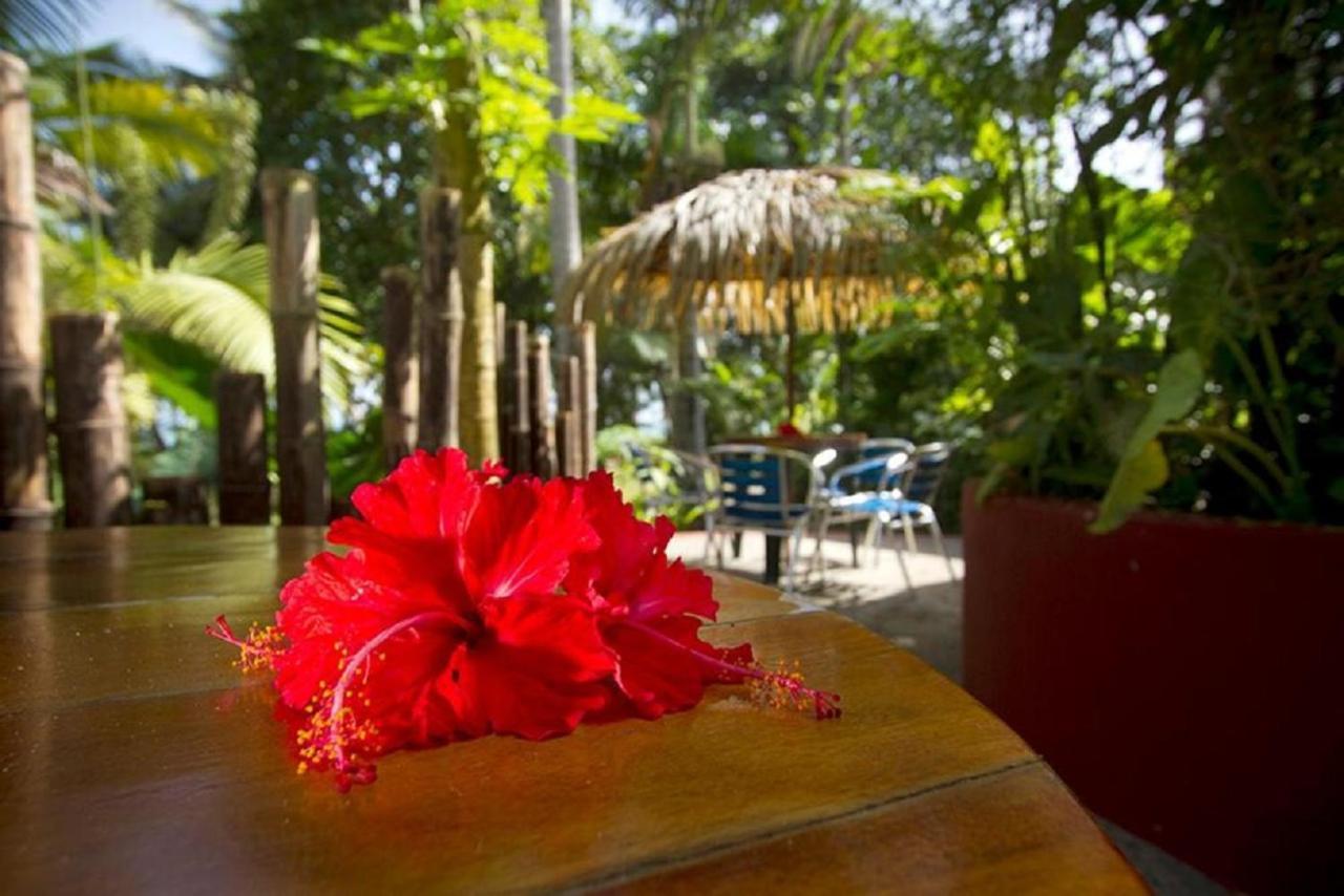 Villas Del Caribe Puerto Viejo de Talamanca ภายนอก รูปภาพ