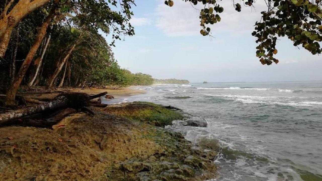 Villas Del Caribe Puerto Viejo de Talamanca ภายนอก รูปภาพ