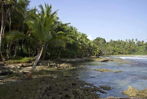 Villas Del Caribe Puerto Viejo de Talamanca ภายนอก รูปภาพ